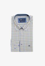 Regular line checked shirt